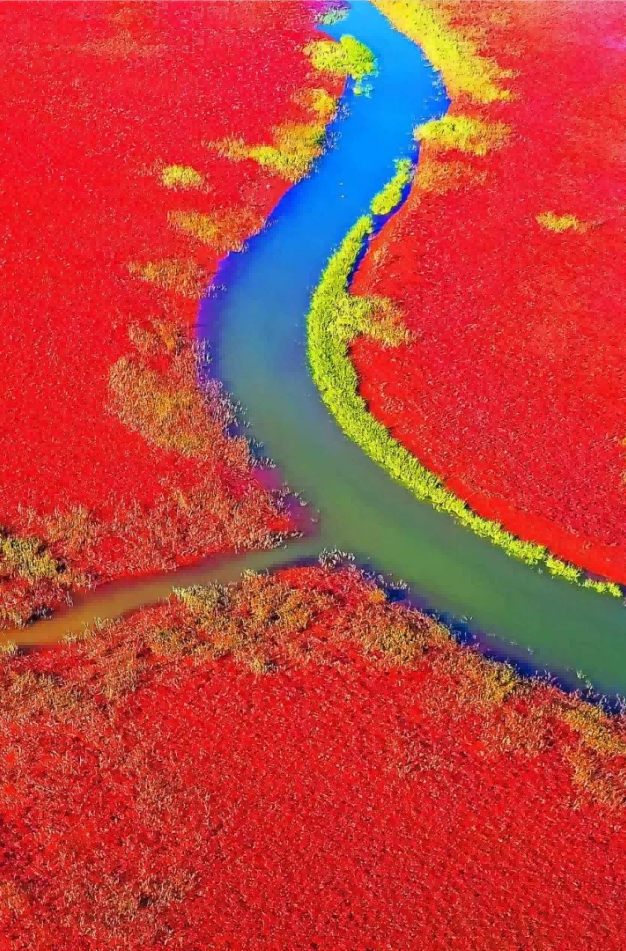 黃河入海流——山影鏡頭里的時代變遷故事