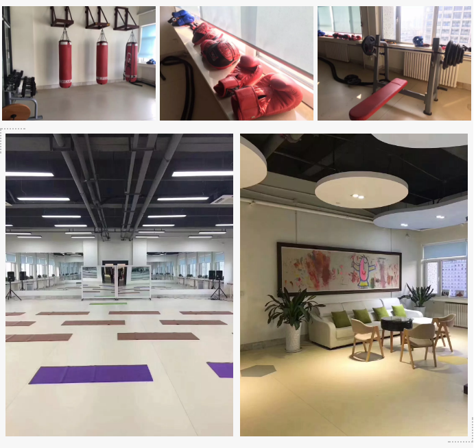 山影 ? 星工坊之探密攻略一