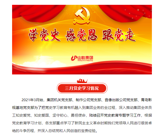 集團(tuán)各黨支部認(rèn)真開展黨史學(xué)習(xí)教育