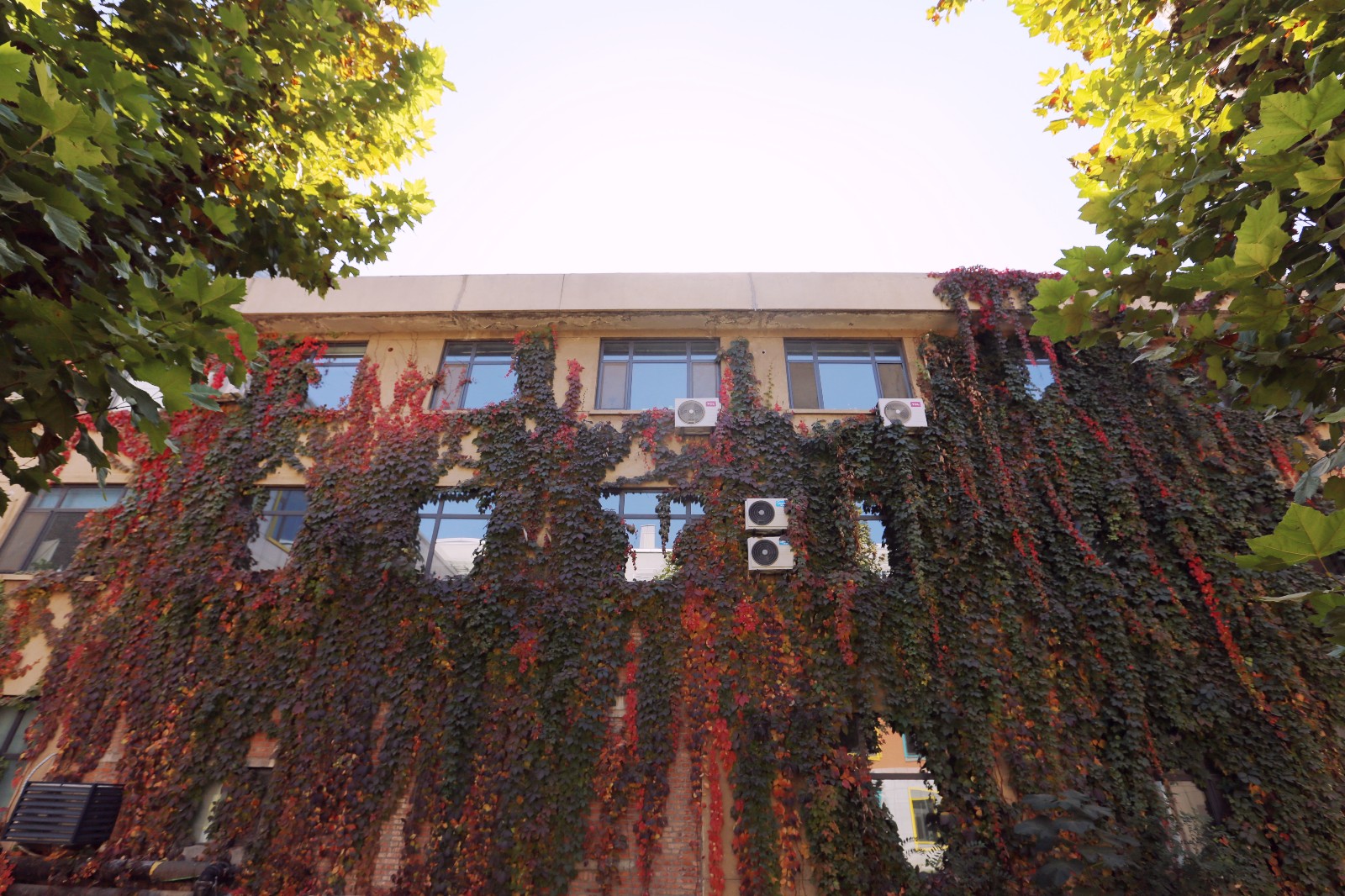 山影星工坊的秋色，與心中的美好不期而遇